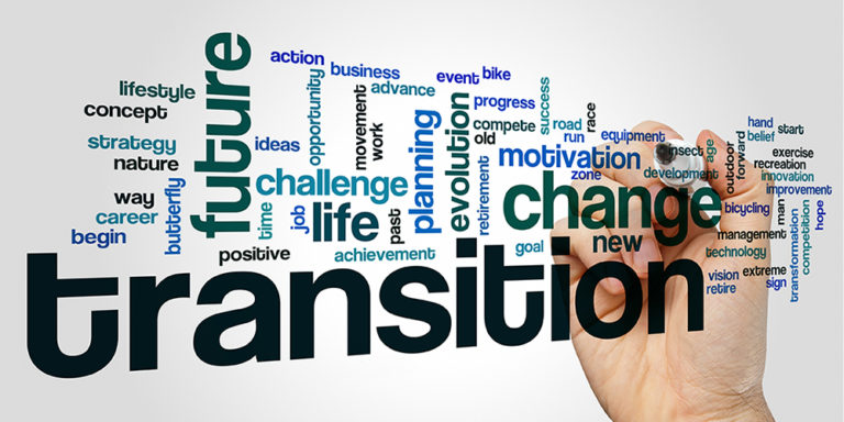Read more about the article Five steps to transition from an executive to a Non-Executive Director