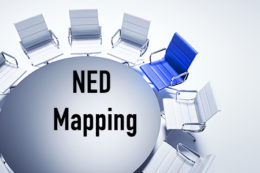 NED Mapping