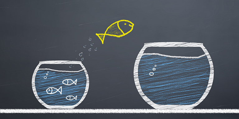 Read more about the article Common Questions: How to transition from an Executive to a Non-Executive?